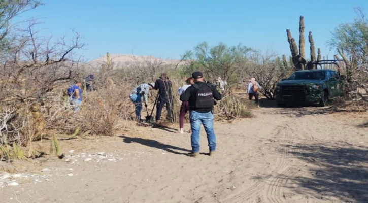 De septiembre a la fecha se han localizado 50 inhumaciones clandestinas en BCS