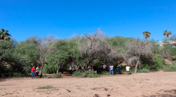 Autoridades municipales y CROC participan con labores de limpieza en el Estero de SJC