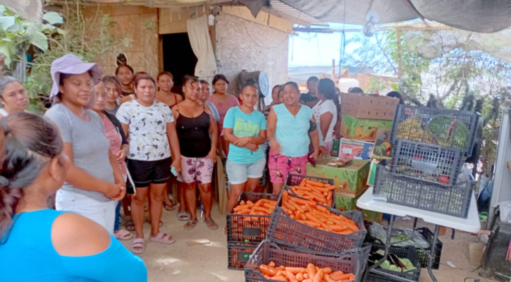 Realizan donación de frutas y verduras a familias de colonia Caribe Bajo en CSL