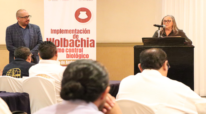 Es BCS sede nacional del curso sobre el método Wolbachia para prevenir el dengue