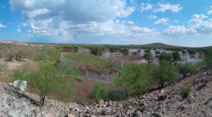 Espera Conagua importante recarga de presas en BCS por lluvias de “Lorena”