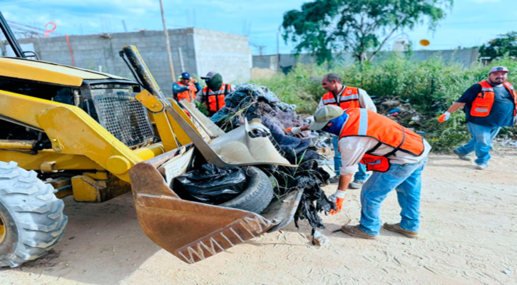 Refuerza Ayuntamiento de Los Cabos limpieza en colonia La Ballena con cuarta jornada comunitaria