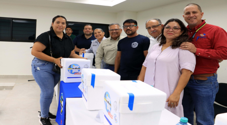 Entregó UABCS un millón de semillas de ostión a productores de Comondú