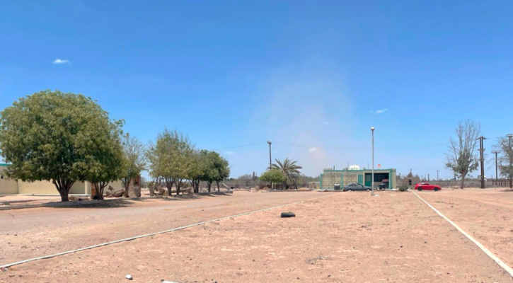 Trabajan en la reactivación del laboratorio de insectos benéficos en el Valle de Santo Domingo