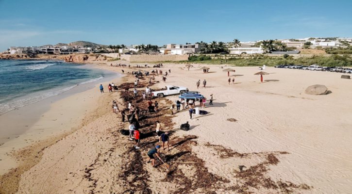 Unen esfuerzos Zofemat Los Cabos y estudiantes del colegio Delmar por el cuidado del medio ambiente