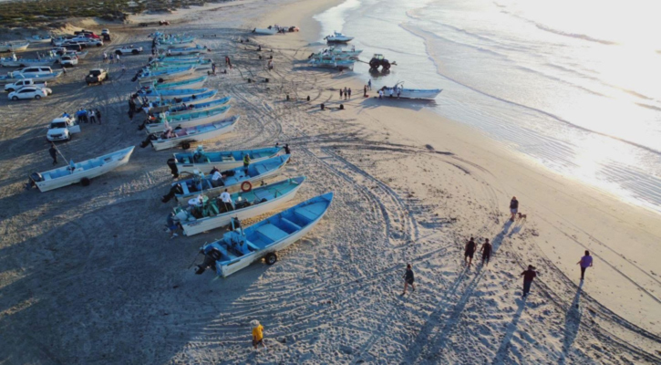 Encabezó Víctor Castro el disparo de torneo de pesca e inicio de la “Copa Pacífico Norte”, en Punta Abreojos