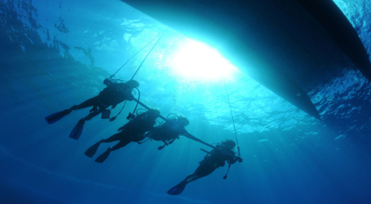 Publicará la UABCS su convocatoria de admisión a Biología Marina este 3 de octubre Publicará la UABCS su convocatoria de admisión a Biología Marina este 3 de octubre