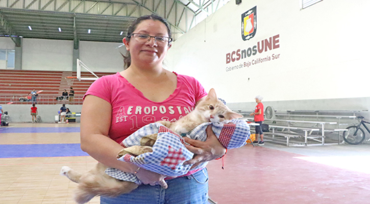Atendió la Secretaría de Salud a 561 mascotas durante jornada gratuita de esterilización