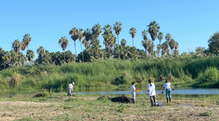 Refuerzan acciones integrales para conservación y cuidado del Estero de SJC
