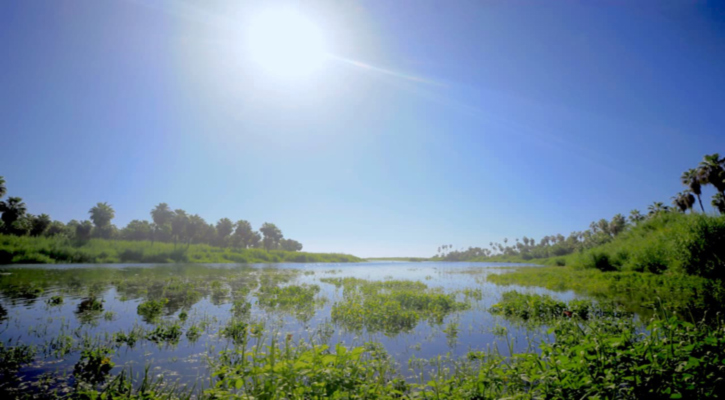 Avanza gobierno municipal en el plan de protección ambiental en el Estero de SJC con apoyo del IMTA