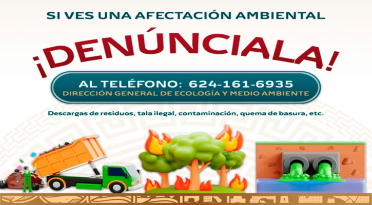 Ponen a disposición línea telefónica para reportar daños ambientales en Los Cabos Ponen a disposición línea telefónica para reportar daños ambientales en Los Cabos