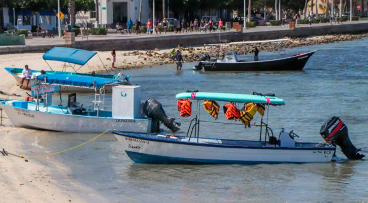 Fraudes y desorganización llevó a regulación de prestadores de servicios del malecón de La Paz