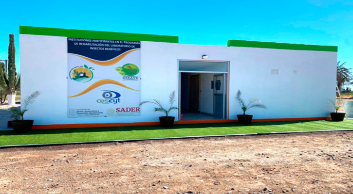 Autoridades de BCS firman convenio para reactivar laboratorio de insectos benéficos