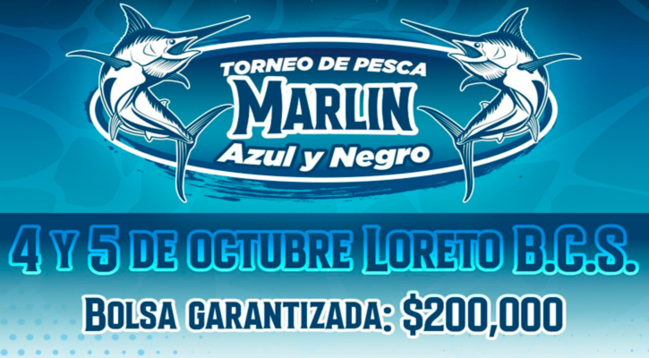 Loreto se prepara para el “Torneo de Marlin Azul y Negro”; bolsa garantizada de 200 mil pesos
