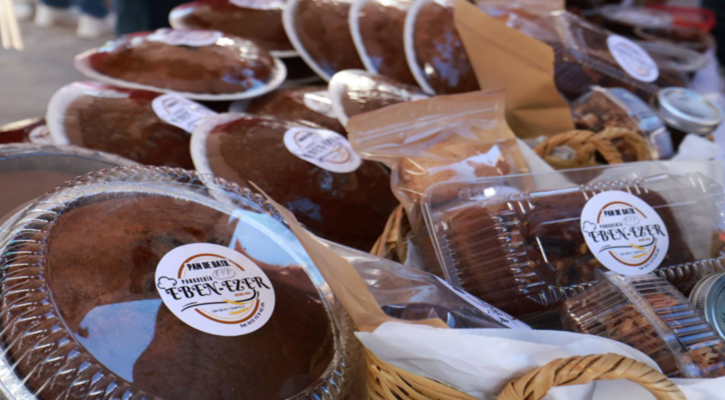 Anuncia gobierno de BCS la segunda edición de la Feria del Dátil en Mulegé