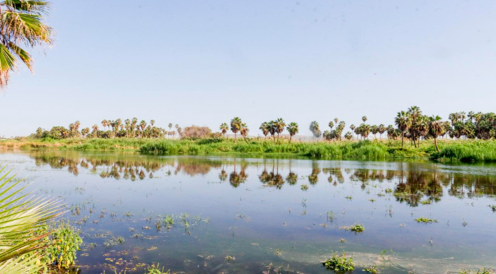 Supervisan autoridades municipales avances en la conservación del Estero de SJC