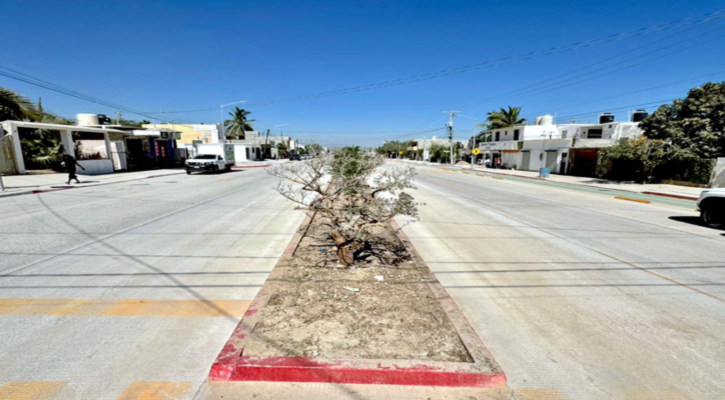 Entregó el gobierno de Los Cabos la obra de pavimentación de la colonia Vista Hermosa en SJC
