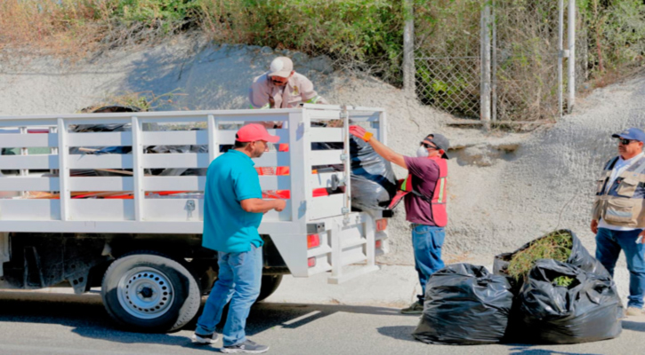 Exitosa respuesta al programa de Empleo Temporal en Los Cabos