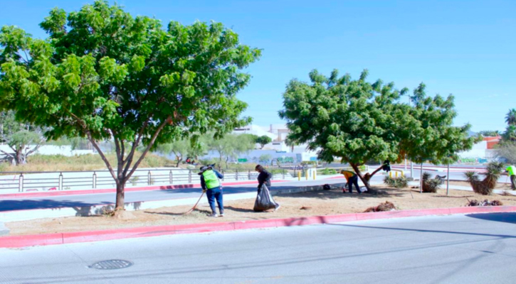 Retira Programa de Empleo Temporal más de 170 toneladas de residuos en Los Cabos a una semana de iniciar