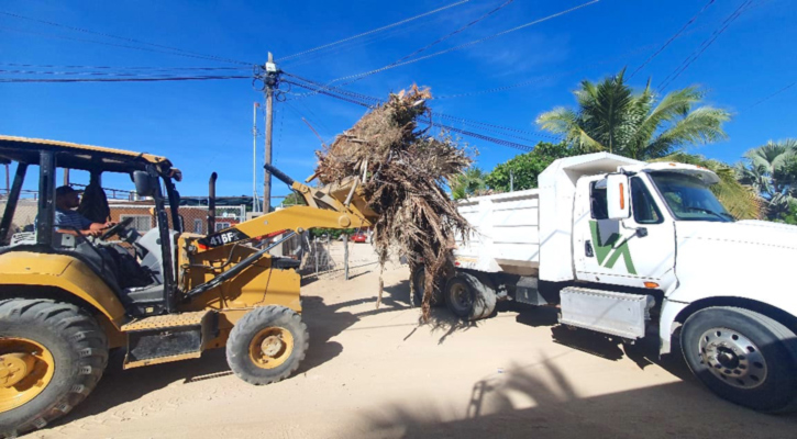 Avanza Servicios Públicos en la limpieza y recuperación de espacios en SJC
