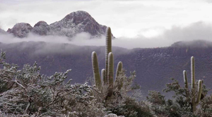 Temperatura de hasta 5° en sierras de BCS la madrugada del domingo