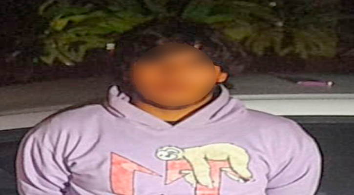 Tres personas detenidas durante operativos en Los Cabos y La Paz