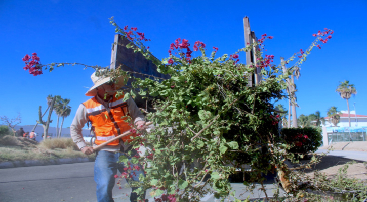 Refuerza Los Cabos seguridad urbana con rehabilitación de alumbrado y limpieza integral