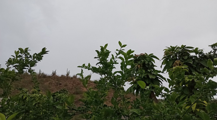 Pronostican fin de semana fresco con posibilidad de lluvias en algunas regiones de BCS