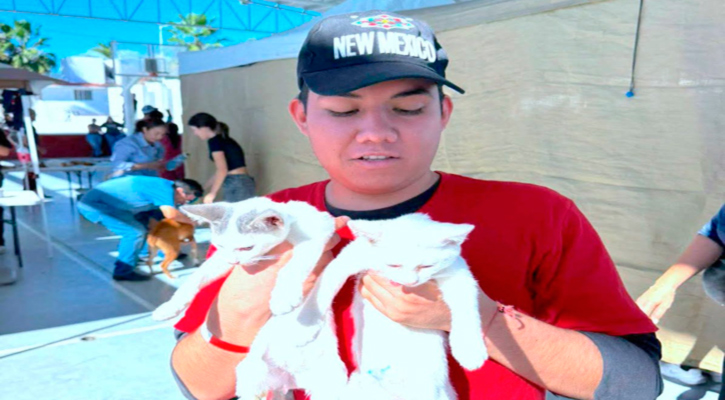 Fortalecen gobierno de Los Cabos y Casa Sheila lazos para la protección animal