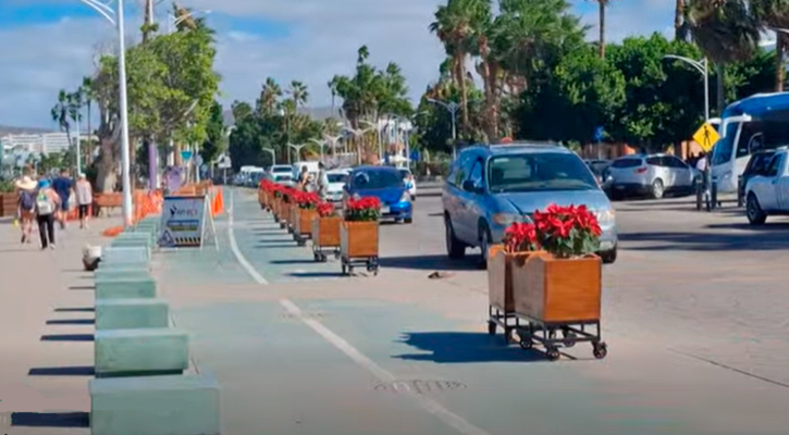 Ordena Gobernador el retiro de macetas del malecón; Alcaldesa de La Paz dice que respeta la decisión