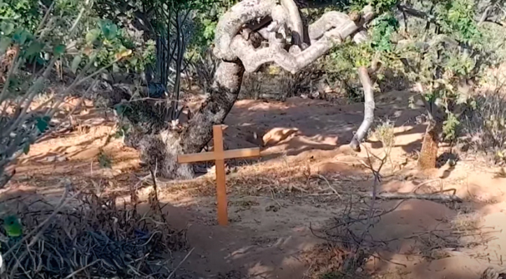 197 osamentas han sido localizadas en fosas clandestinas en BCS del 2021 al 2025