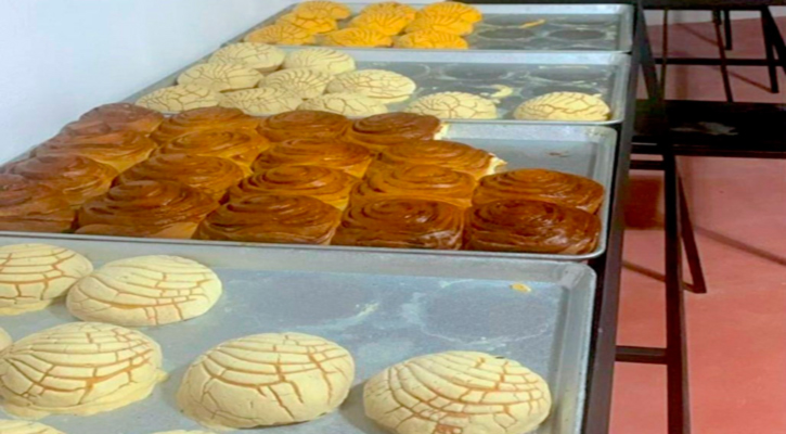 Apoya Ayuntamiento de Los Cabos nuevos emprendimientos y alternativas de consumo local