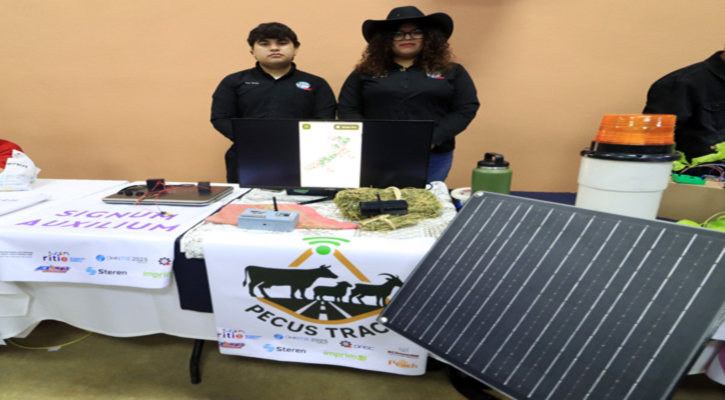 Desarrollan estudiantes de la UABCS sistema de alerta para prevenir accidentes por ganado en carretera