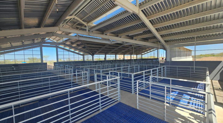 Impulsa gobierno de BCS infraestructura universitaria para beneficiar a estudiantes de los cinco municipios