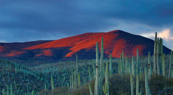Frente frío cambiaría clima cálido con el que ha arrancado BCS en 2026