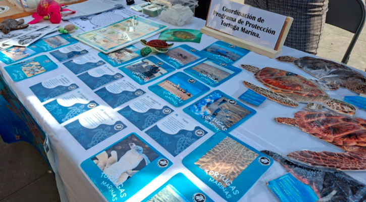 Conmemora gobierno de Los Cabos el Día Mundial de la Educación Ambiental