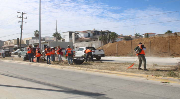 Pone en marcha Ayuntamiento de Los Cabos segunda etapa del programa Empleo Temporal