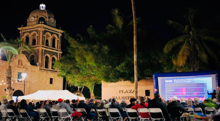Arrancó en Loreto el Festival de la Ballena Azul 2026
