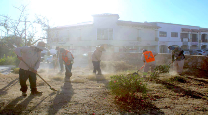 Refuerzan trabajos de mantenimiento para mejorar imagen urbana en Los Cabos Refuerzan trabajos de mantenimiento para mejorar imagen urbana en Los Cabos
