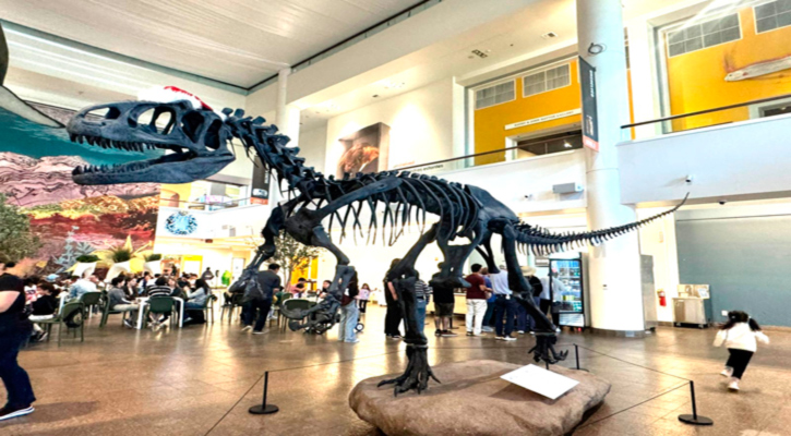 Fortalece UABCS cooperación científica con el San Diego Natural History Museum