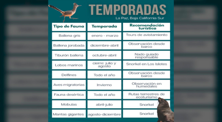 Se consolida La Paz como destino de experiencias naturales todo el año