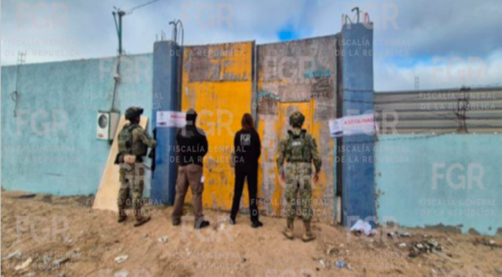 En cateo aseguran más de 265 kilos de marihuana en un inmueble en Mulegé