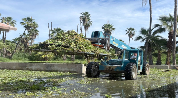Avanza Plan de Regeneración del Estero de SJC con acciones ambientales integrales Avanza Plan de Regeneración del Estero de SJC con acciones ambientales integrales