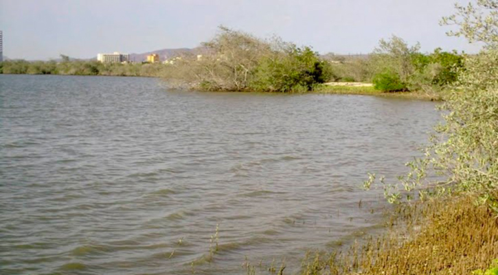 Refuerza Sepuimm la protección de los humedales como base del desarrollo sostenible en BCS