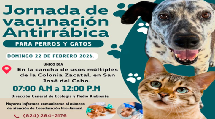 Realizarán campaña de vacunación antirrábica en SJC el 22 de febrero