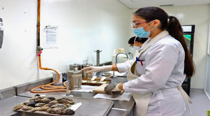 Análisis del Laboratorio de Salud Pública refuerzan la seguridad y exportación de moluscos en BCS