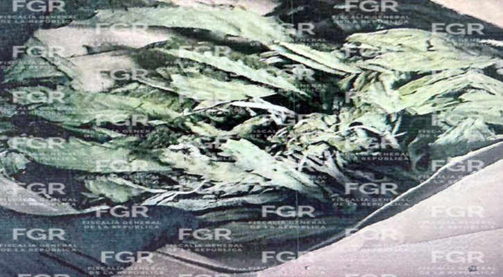 Vinculado a proceso por probable participación en delito contra la salud en Ciudad Constitución