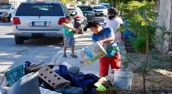 Arrancan Jornadas de Concientización en CSL; recolectan 259 toneladas de residuos Arrancan Jornadas de Concientización en CSL; recolectan 259 toneladas de residuos