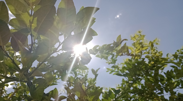 Se pronostica onda de calor a partir de media semana en BCS