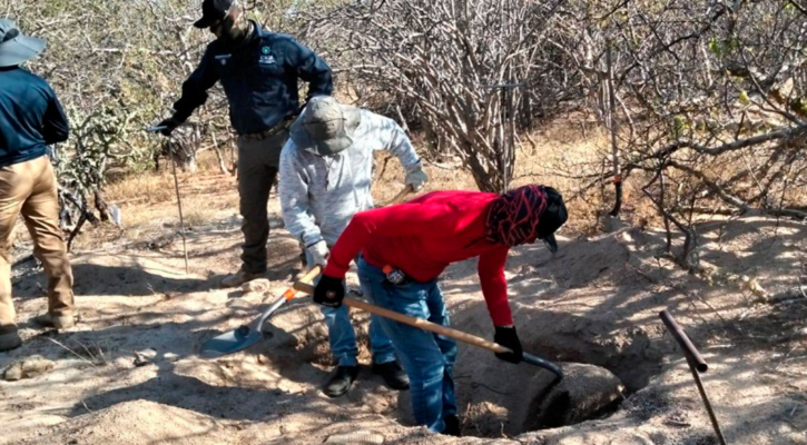 Fueron 6 las osamentas encontradas en las cuatro fosas del domingo pasado en El Cajoncito